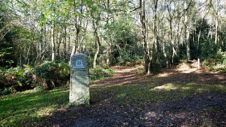 The Edlmann Monument at Petts Wood and Hawkwood, Kent, a stone pillar with the inscription 'This woodland was saved in 1927 by Francis Joseph Frederick Edlmann and was given to the National Trust in 1957 by Robert and Francesca Hall'